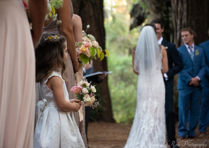 Gallery photo 7 of Redwood Rose Photography