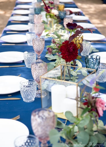 Gallery photo 8 of Redwood Rose Photography