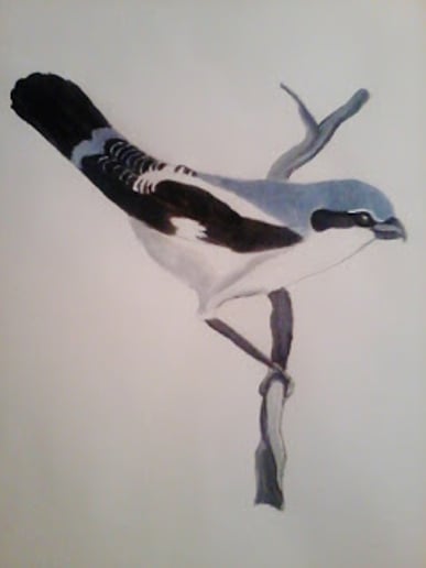 Gallery photo 4 of Reid's Art