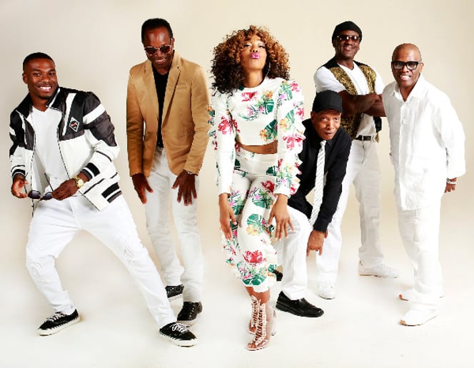 Gallery photo 2 of Remarkable Bands