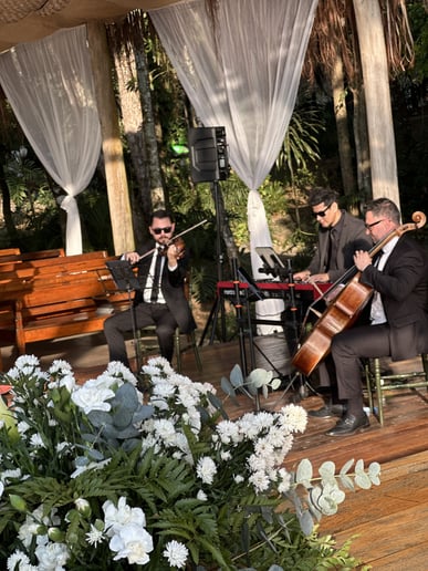 Gallery photo 5 of Renato Oliveira - Cellist