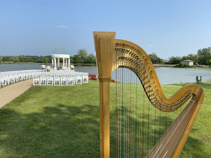 Gallery photo 3 of Renee Wilson, Harpist