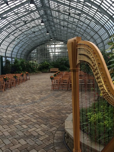 Gallery photo 6 of Renee Wilson, Harpist