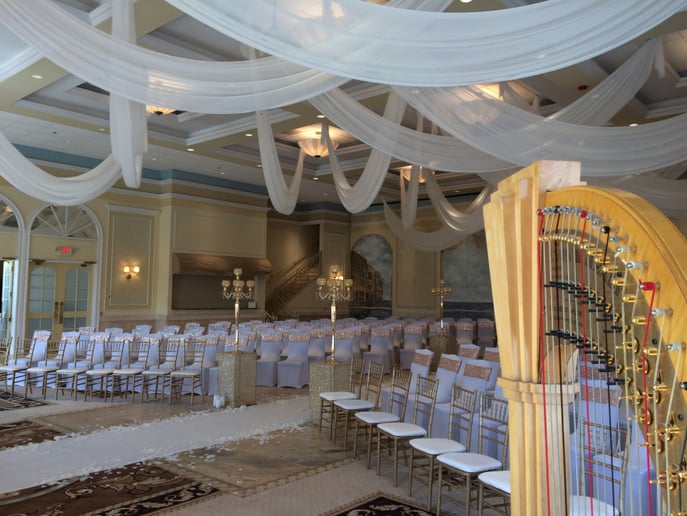 Gallery photo 7 of Renee Wilson, Harpist