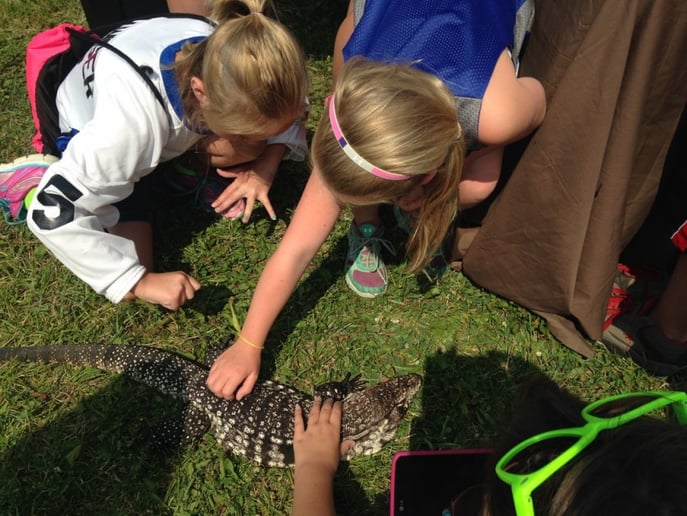 Gallery photo 11 of REPCO Wildlife Encounters