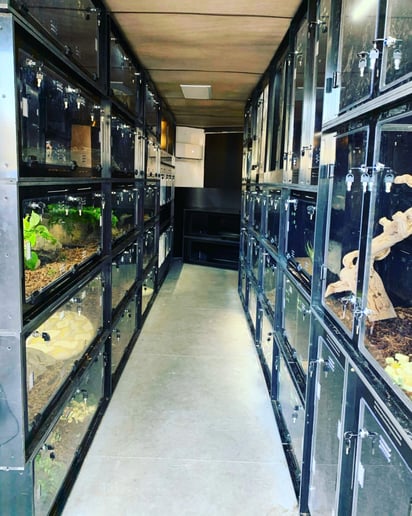 Gallery photo 1 of Reptile 101