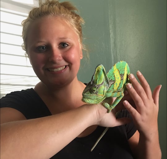 Gallery photo 7 of Reptile Adventures Alabama