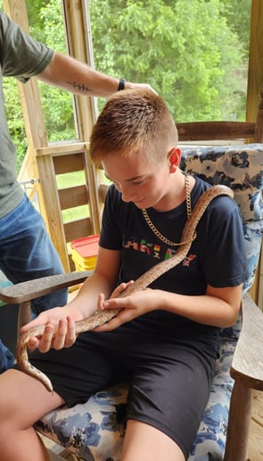 Gallery photo 8 of Reptile Adventures Alabama