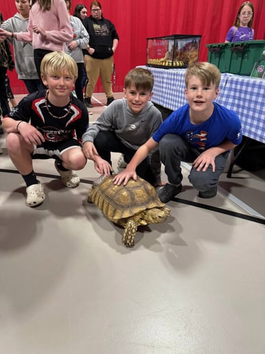 Gallery photo 3 of Reptile Adventures Alabama