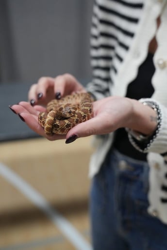 Gallery photo 22 of Reptile Adventures Alabama