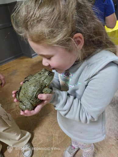 Gallery photo 23 of Reptile Adventures Alabama
