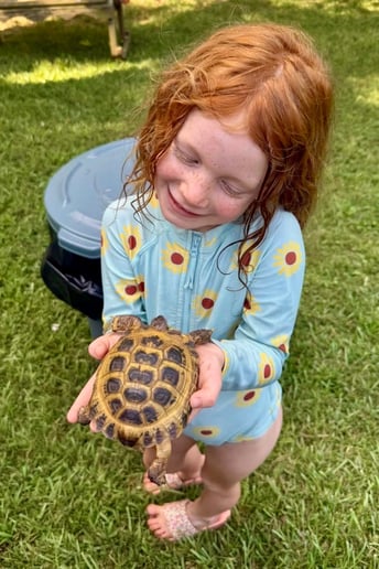 Gallery photo 24 of Reptile Adventures Alabama