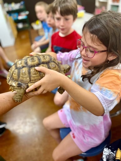 Gallery photo 26 of Reptile Adventures Alabama
