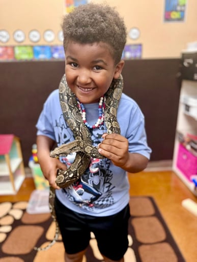 Gallery photo 28 of Reptile Adventures Alabama