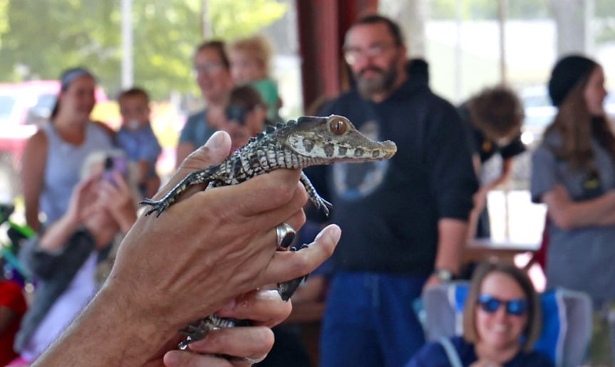 Gallery photo 4 of Reptile Adventures