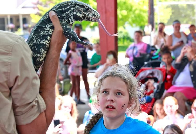 Gallery photo 5 of Reptile Adventures