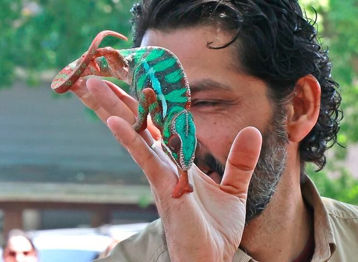 Gallery photo 6 of Reptile Adventures