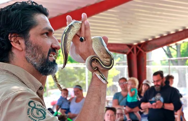 Gallery photo 8 of Reptile Adventures