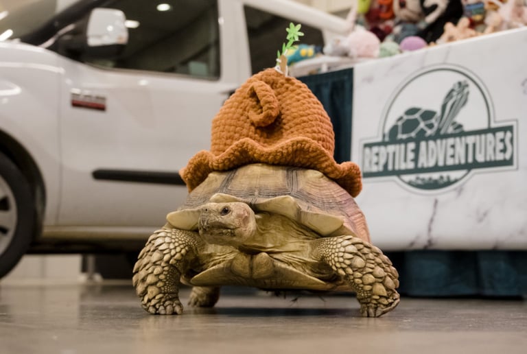 Gallery photo 13 of Reptile Adventures