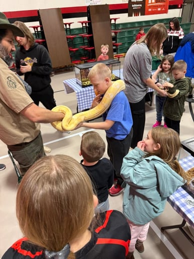 Gallery photo 15 of Reptile Adventures