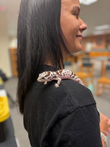 Gallery photo 20 of Reptile Adventures