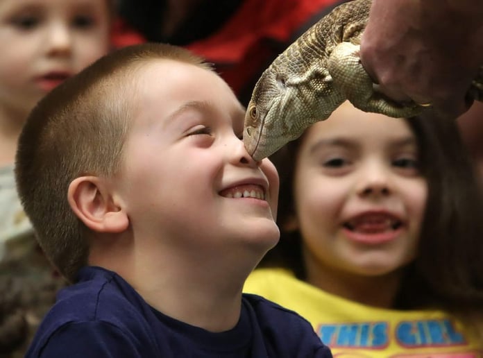 Gallery photo 2 of Reptile Man