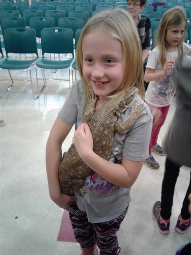 Gallery photo 3 of Reptile Man
