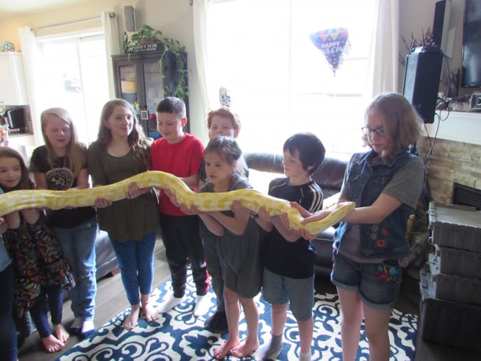 Gallery photo 4 of Reptile Man