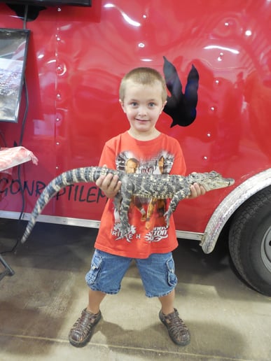 Gallery photo 6 of Reptile Man