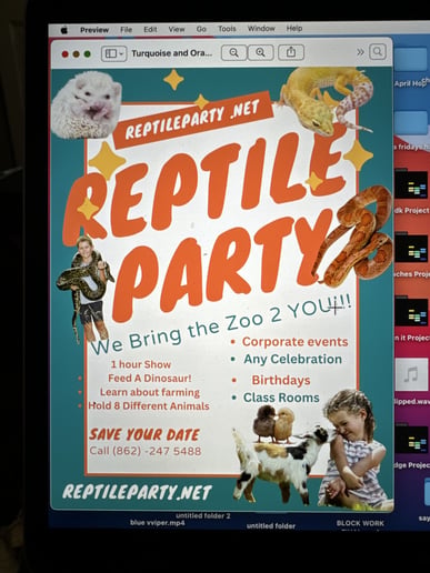 Gallery photo 45 of Reptile Party & Wizard of Lizards