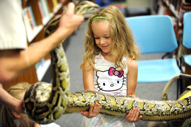 Gallery photo 5 of Reptile Wonders-The Nature Center on the Go