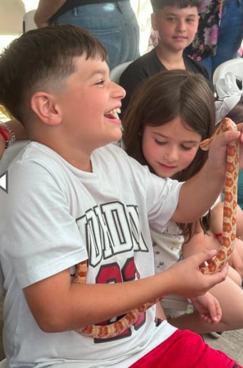 Gallery photo 7 of Reptile Partys