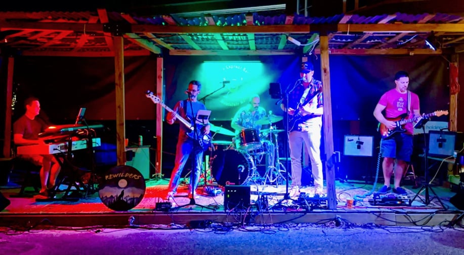 Gallery photo 2 of Rewilders Rock Band