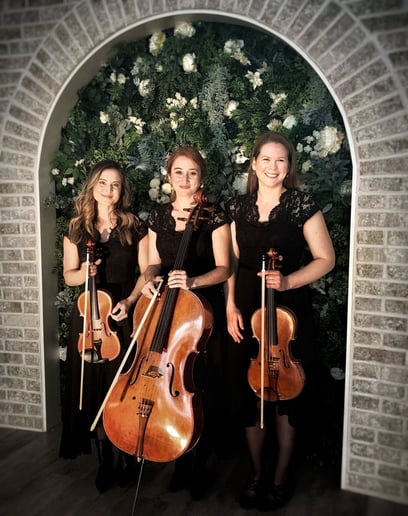 Gallery photo 2 of Rewound String Trio