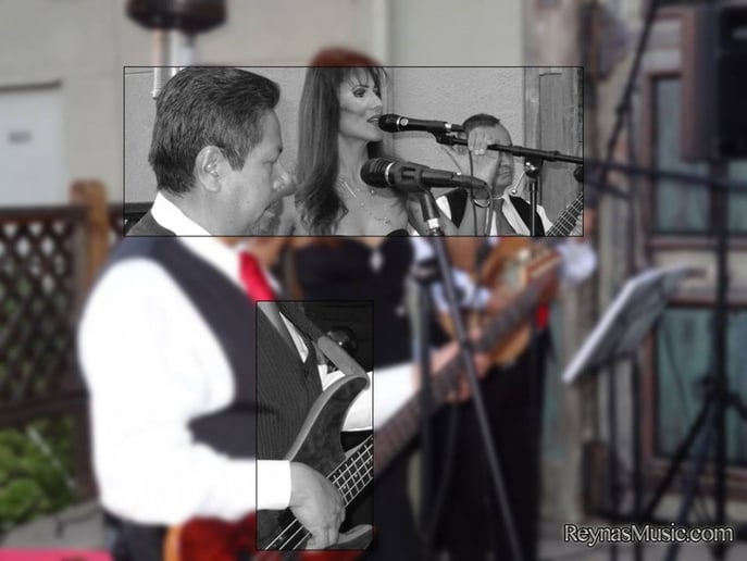 Gallery photo 1 of Reyna y su Trio Latin-Mariachi Band