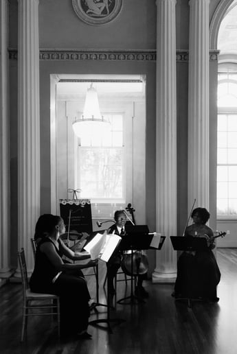 Gallery photo 14 of Rhapsody in Ebony