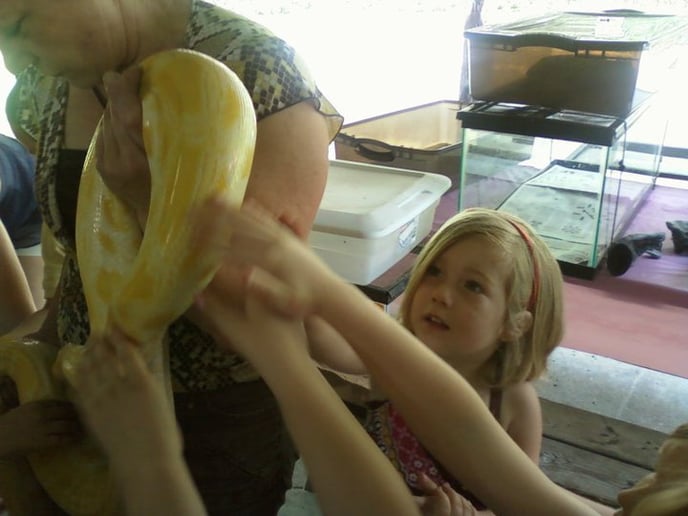 Gallery photo 2 of Rhonda's Reptiles