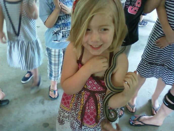Gallery photo 3 of Rhonda's Reptiles