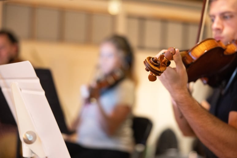 Gallery photo 4 of Rhose Studio Strings