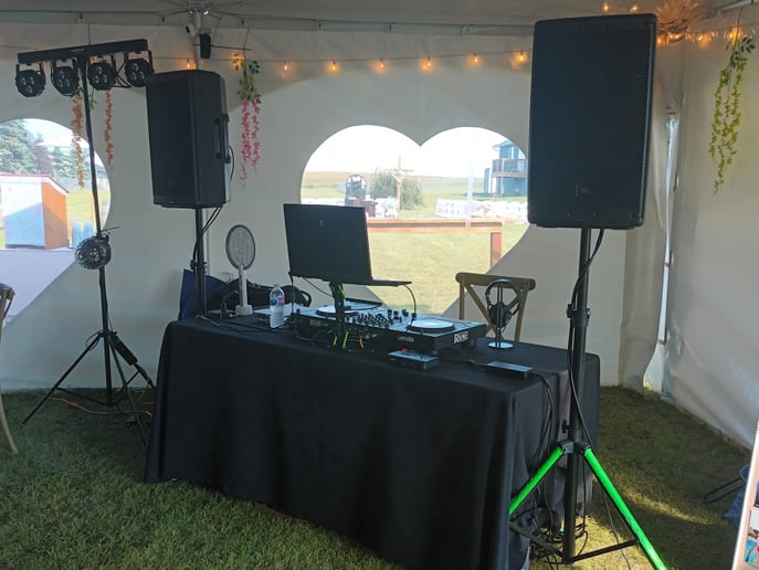 Gallery photo 1 of Rhythm and Harmony Entertainment