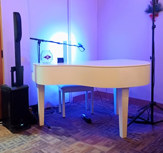 Gallery photo 4 of Coop's Solo Singalong Piano Show