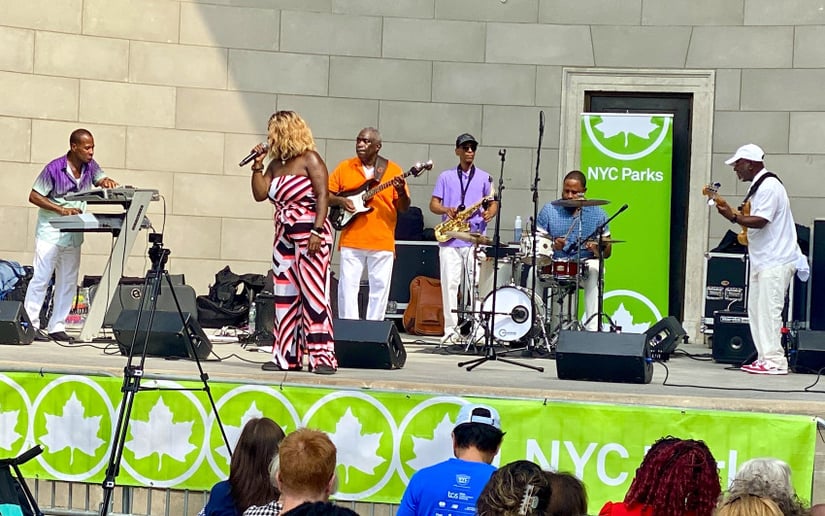 Gallery photo 5 of Richie Nick Band
