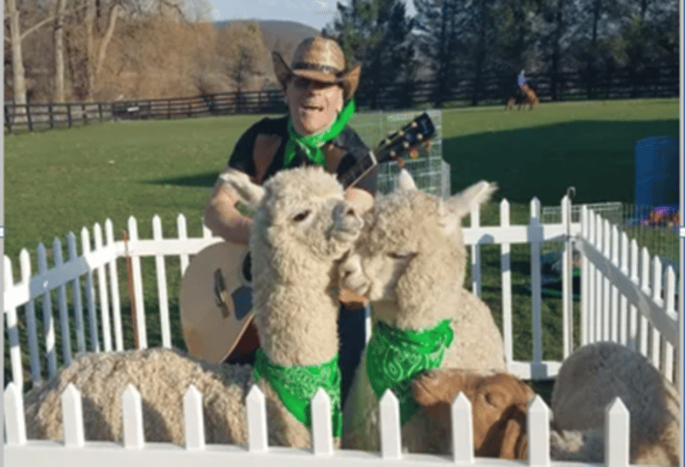 Gallery photo 12 of Rigo Music Kids Fun Entertainment