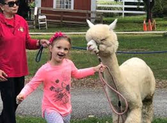 Gallery photo 28 of Rigo Music Kids Fun Entertainment