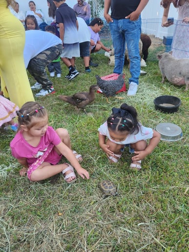 Gallery photo 78 of Rigo Music Kids Fun Entertainment
