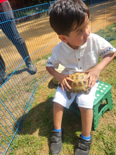 Gallery photo 79 of Rigo Music Kids Fun Entertainment
