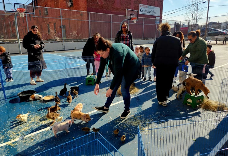 Gallery photo 86 of Rigo Music Kids Fun Entertainment
