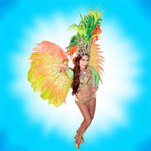 Gallery photo 7 of Rio Brasil Samba