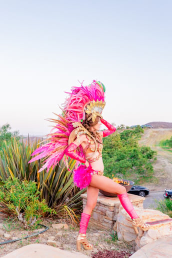 Gallery photo 17 of Rio Brasil Samba