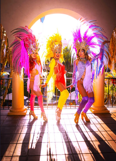 Gallery photo 1 of Rio Brasil Samba